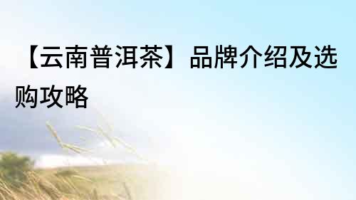 【云南普洱茶】品牌介紹及選購攻略