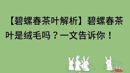【碧螺春茶葉解析】碧螺春茶葉是絨毛嗎？一文告訴你！