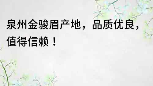 泉州金駿眉產地，品質優良，值得信賴！