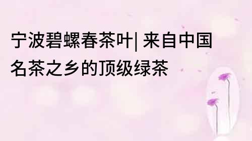 寧波碧螺春茶葉| 來自中國名茶之鄉(xiāng)的頂級綠茶