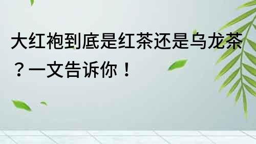 大紅袍到底是紅茶還是烏龍茶？一文告訴你！