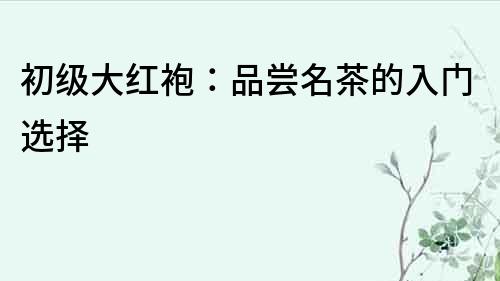 初級大紅袍：品嘗名茶的入門選擇