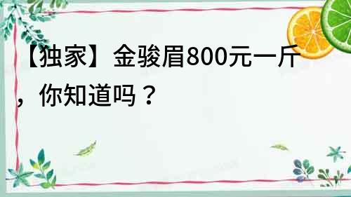 【獨(dú)家】金駿眉800元一斤，你知道嗎？