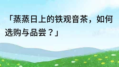 「蒸蒸日上的鐵觀音茶，如何選購與品嘗？」