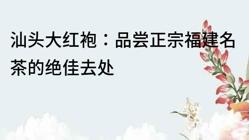 汕頭大紅袍：品嘗正宗福建名茶的絕佳去處