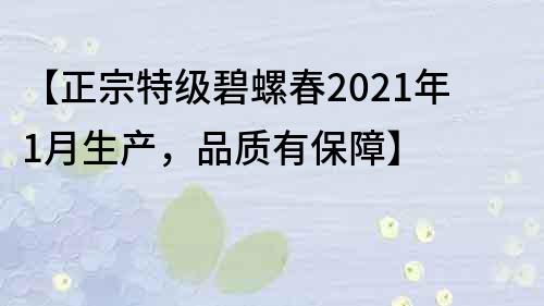 【正宗特級碧螺春2022年1月生產，品質有保障】