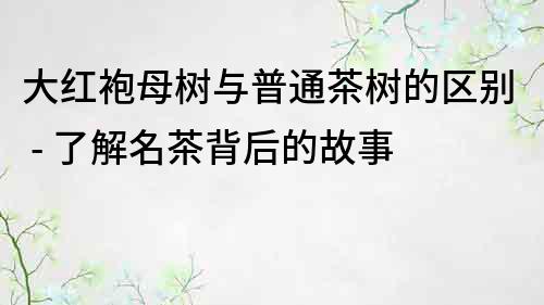 大紅袍母樹與普通茶樹的區別 - 了解名茶背后的故事