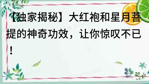 【獨家揭秘】大紅袍和星月菩提的神奇功效，讓你驚嘆不已！