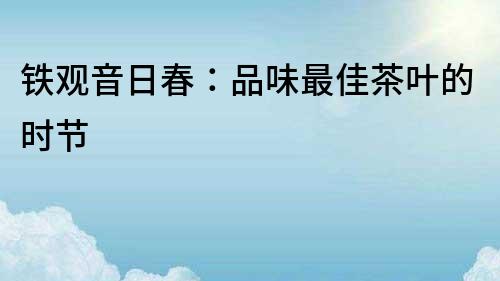鐵觀音日春：品味最佳茶葉的時(shí)節(jié)