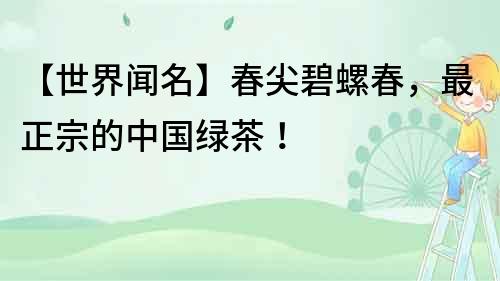 【世界聞名】春尖碧螺春，最正宗的中國(guó)綠茶！