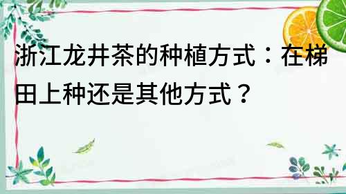 浙江龍井茶的種植方式：在梯田上種還是其他方式？
