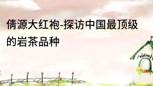 倩源大紅袍-探訪中國最頂級的巖茶品種