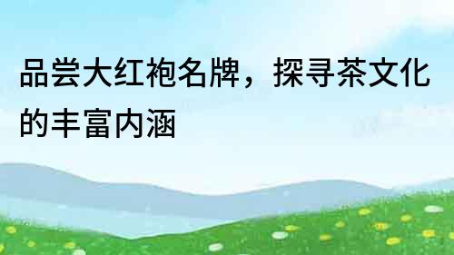 品嘗大紅袍名牌，探尋茶文化的豐富內(nèi)涵