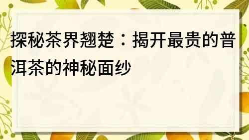 探秘茶界翹楚：揭開最貴的普洱茶的神秘面紗
