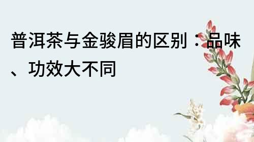 普洱茶與金駿眉的區(qū)別：品味、功效大不同