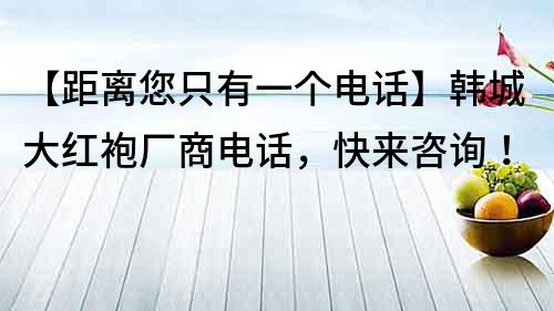 【距離您只有一個電話】韓城大紅袍廠商電話，快來咨詢！