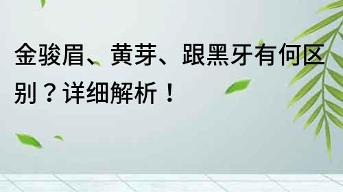 金駿眉、黃芽、跟黑牙有何區別？詳細解析！