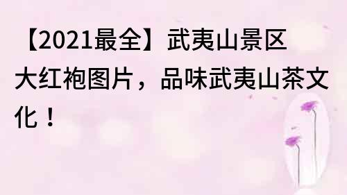 【2021最全】武夷山景區大紅袍圖片，品味武夷山茶文化！