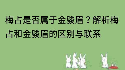梅占是否屬于金駿眉？解析梅占和金駿眉的區別與聯系