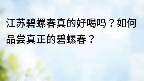 江蘇碧螺春真的好喝嗎？如何品嘗真正的碧螺春？