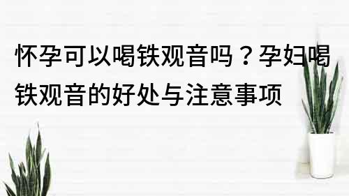 懷孕可以喝鐵觀音嗎？孕婦喝鐵觀音的好處與注意事項