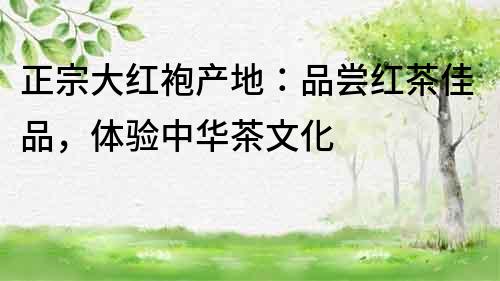 正宗大紅袍產地：品嘗紅茶佳品，體驗中華茶文化