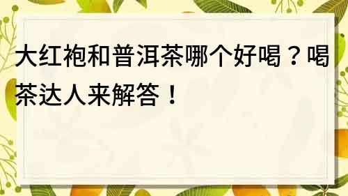 大紅袍和普洱茶哪個好喝？喝茶達人來解答！