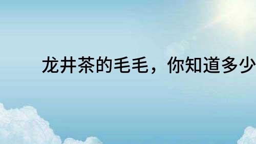 龍井茶的毛毛，你知道多少？