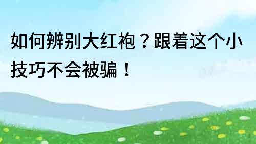 如何辨別大紅袍？跟著這個小技巧不會被騙！