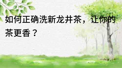 如何正確洗新龍井茶，讓你的茶更香？