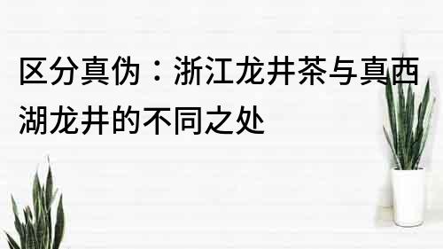 區(qū)分真?zhèn)危赫憬埦枧c真西湖龍井的不同之處