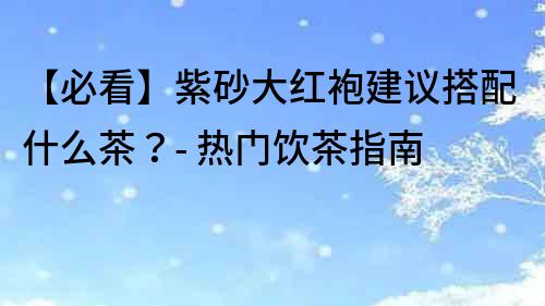 【必看】紫砂大紅袍建議搭配什么茶？- 熱門飲茶指南