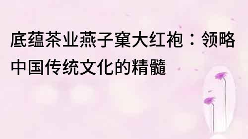 底蘊茶業燕子窠大紅袍：領略中國傳統文化的精髓