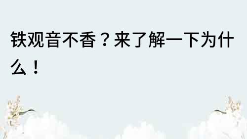 鐵觀音不香？來了解一下為什么！