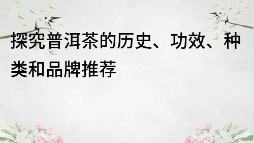 探究普洱茶的歷史、功效、種類和品牌推薦
