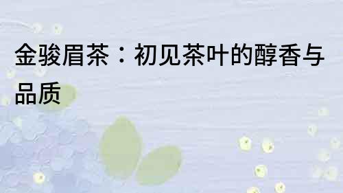 金駿眉茶：初見茶葉的醇香與品質