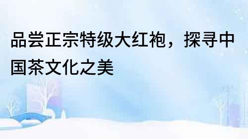 品嘗正宗特級大紅袍，探尋中國茶文化之美