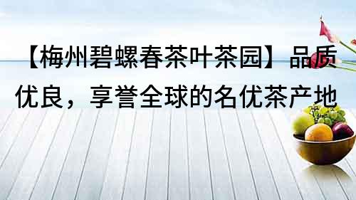 【梅州碧螺春茶葉茶園】品質優良，享譽全球的名優茶產地