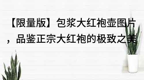 【限量版】包漿大紅袍壺圖片，品鑒正宗大紅袍的極致之美