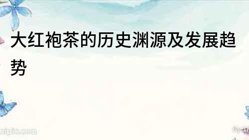 大紅袍茶的歷史淵源及發展趨勢