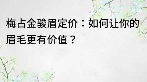 梅占金駿眉定價：如何讓你的眉毛更有價值？