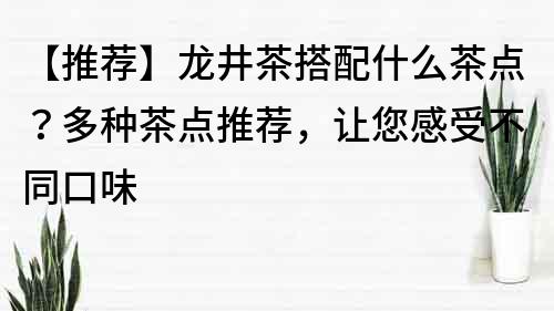 【推薦】龍井茶搭配什么茶點？多種茶點推薦，讓您感受不同口味