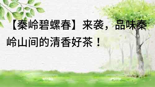 【秦嶺碧螺春】來襲，品味秦嶺山間的清香好茶！