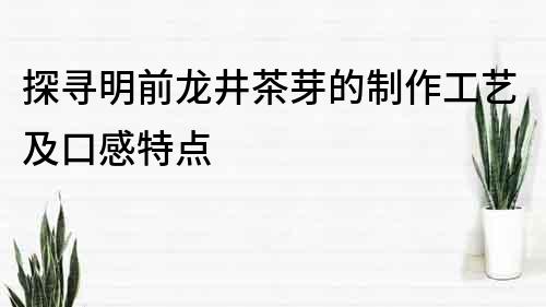 探尋明前龍井茶芽的制作工藝及口感特點(diǎn)