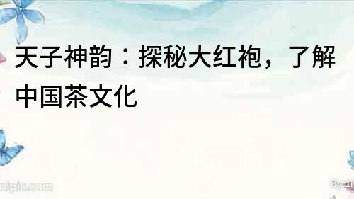 天子神韻：探秘大紅袍，了解中國(guó)茶文化