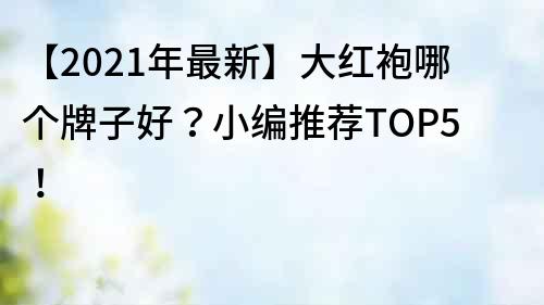 【2021年最新】大紅袍哪個(gè)牌子好？小編推薦TOP5！