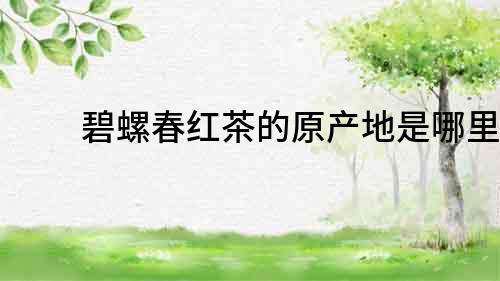 碧螺春紅茶的原產地是哪里？