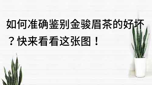 如何準(zhǔn)確鑒別金駿眉茶的好壞？快來(lái)看看這張圖！