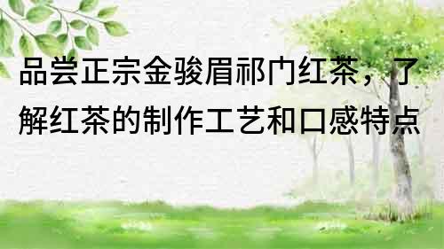 品嘗正宗金駿眉祁門紅茶，了解紅茶的制作工藝和口感特點
