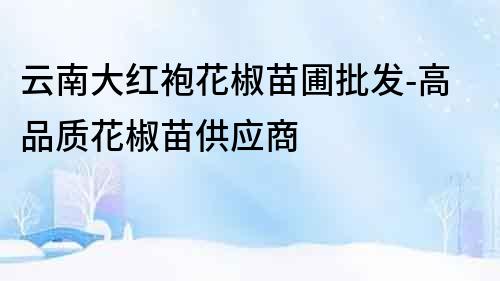 云南大紅袍花椒苗圃批發-高品質花椒苗供應商